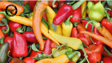 How To Make Fire Cider