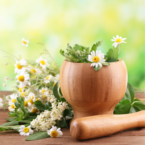 (E-Course) Growing Your Health Independence