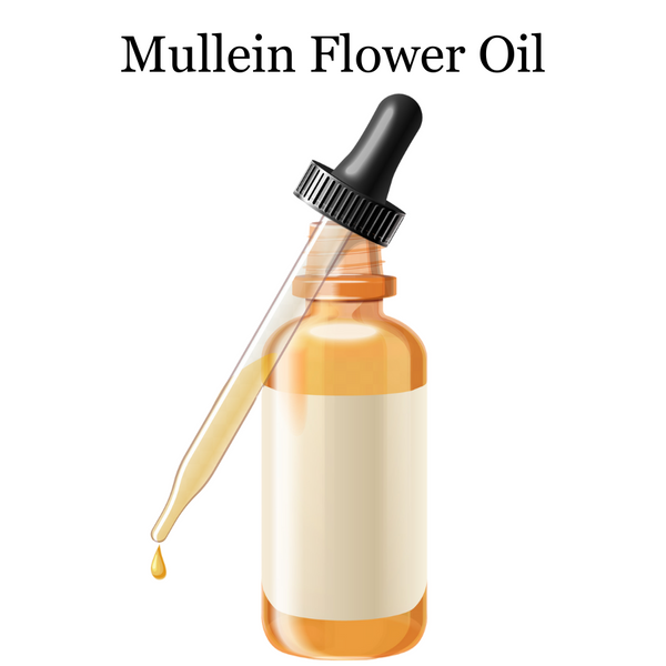 Mullein Flower Oil