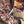 Soda Farm Cherry Apricot Granola